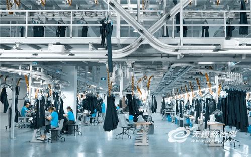 無錫實踐 以技術開發驅動傳統產業“老樹發新芽”，培育新質生產力打造發展新優勢